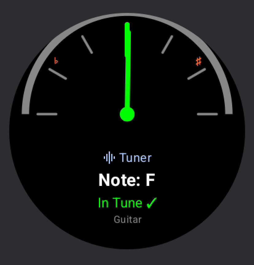 Watch tuner interface